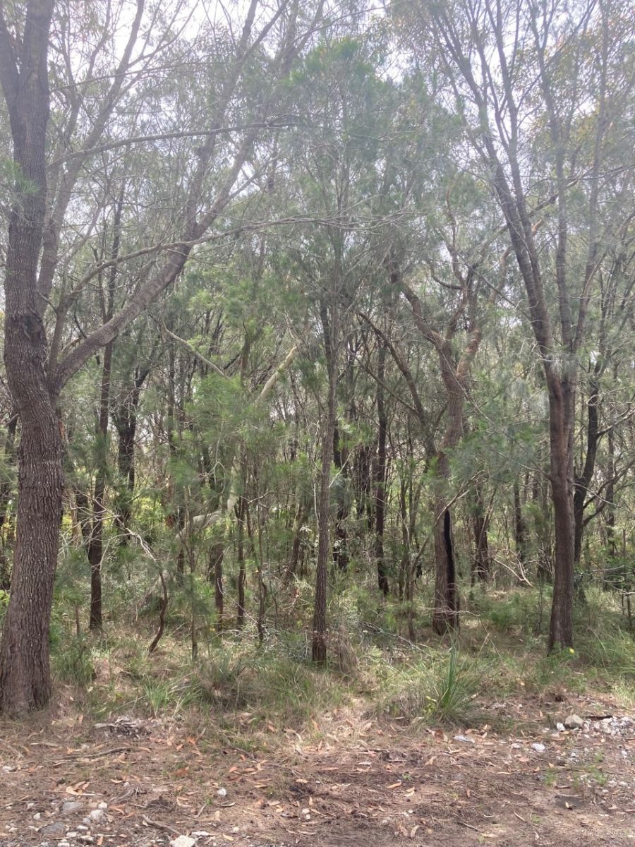 Wyee Land Vacant Block within Wyee Paper Subdivision Contact Agent